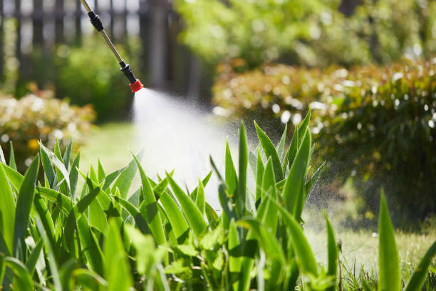 24/7 Emergency Ant Control experts in Botkins, OH